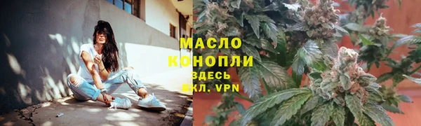 сатива Нягань