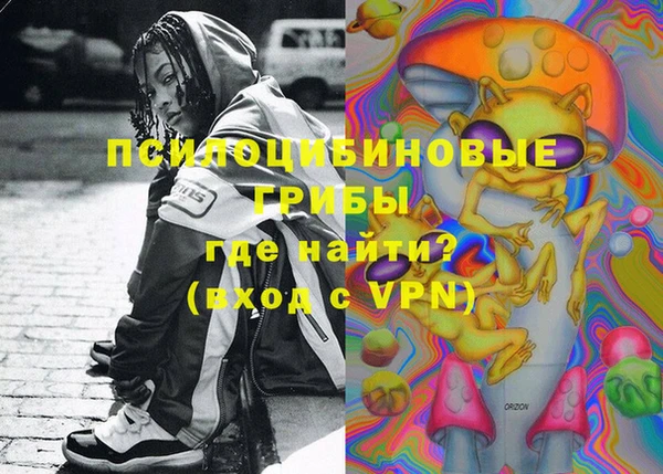 прущая мука Няндома