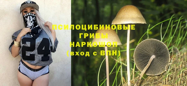 сатива Нягань