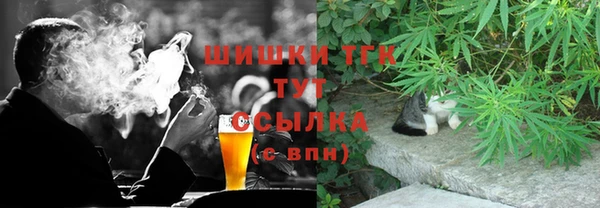 сатива Нягань