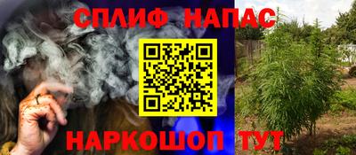 Альфа ПВП Бийск