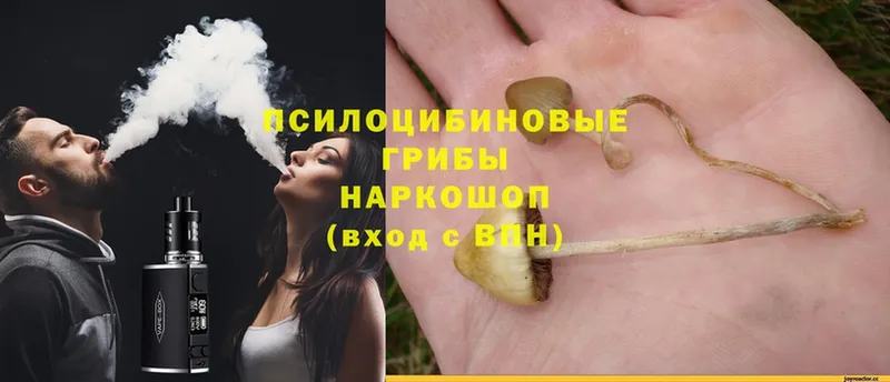 Галлюциногенные грибы MAGIC MUSHROOMS  Грязи 