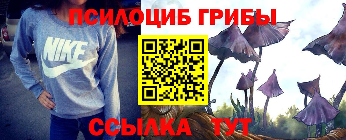 как найти закладки  Галлюциногенные грибы мицелий  Вход с VPN  Псилоцибиновые грибы прущие грибы  Грязи 
