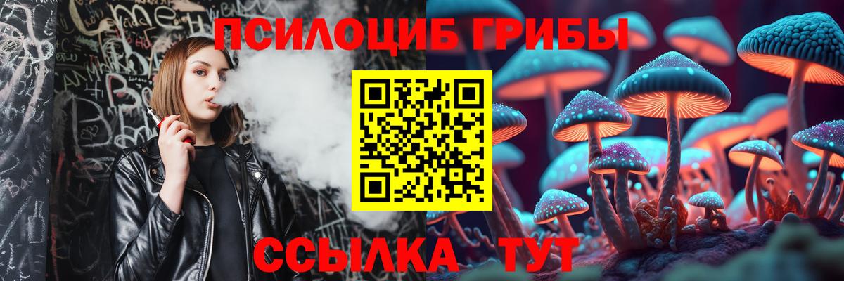 Псилоцибиновые грибы Cubensis Грязи