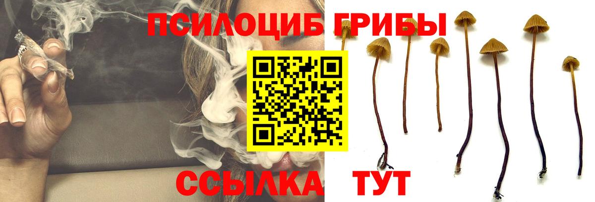 ГАШИШ  Бошки Шишки  Грязи  ГЕРОИН  Гашиш  NBOMe  МЕТАДОН  МЕФ   Наркошоп  КОКАИН  Меф  