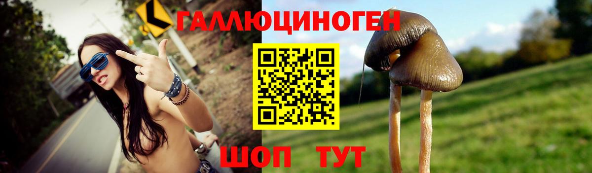 Галлюциногенные грибы Magic Shrooms Грязи